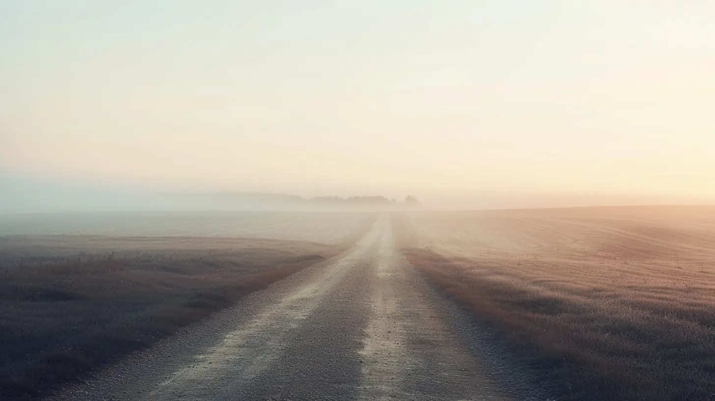 Misty road across open fields at sunrise